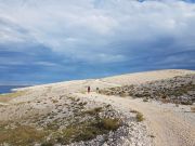 Staza-Sunaani-satNordijskoHodanjehr2019