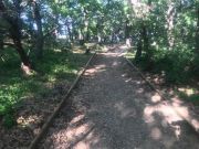 1848728305039879474034192309046595554404728n