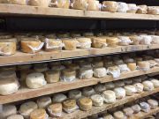 2954196515706998496453732057068295293964560n