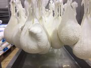 2959458915706998563120391052154990421996749n