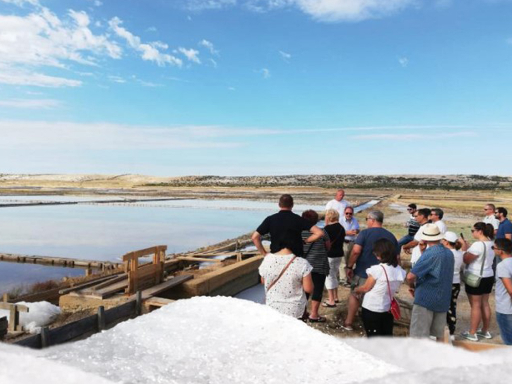 jutra u poljima soli