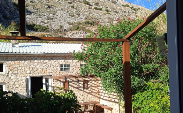 received_6596265153741095