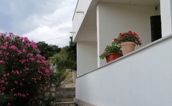 WhatsApp Image 2022-01-24 at 17.04.27