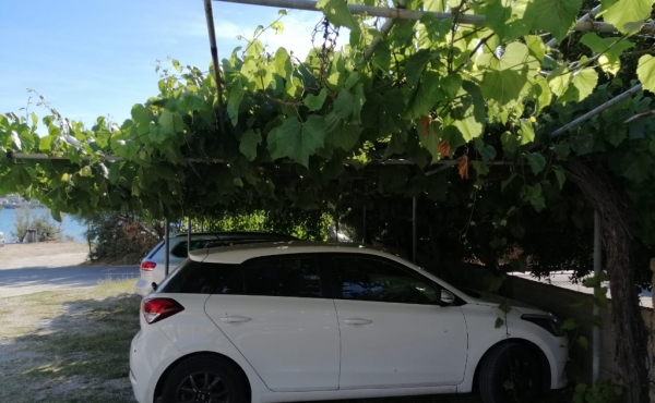 WhatsApp Image 2022-01-24 at 17.04.28