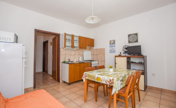 paro_vidolin_fotoby_tjstudio-1011