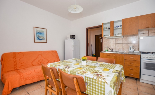 paro_vidolin_fotoby_tjstudio-1013