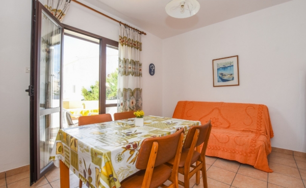 paro_vidolin_fotoby_tjstudio-1016