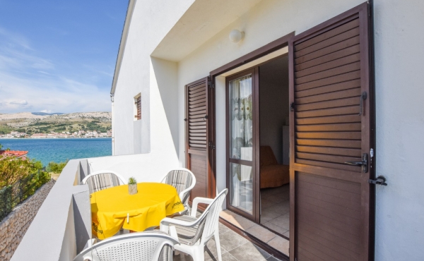 paro_vidolin_fotoby_tjstudio-1019