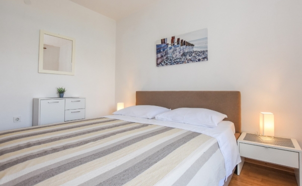 paro_vidolin_fotoby_tjstudio-1029