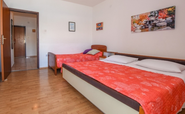 paro_vidolin_fotoby_tjstudio-1035