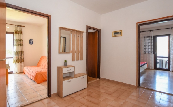 paro_vidolin_fotoby_tjstudio-1041