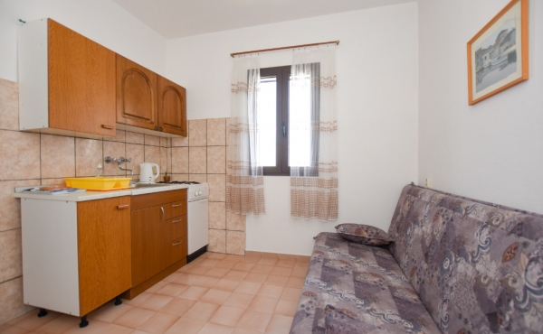 paro_vidolin_fotoby_tjstudio-1044