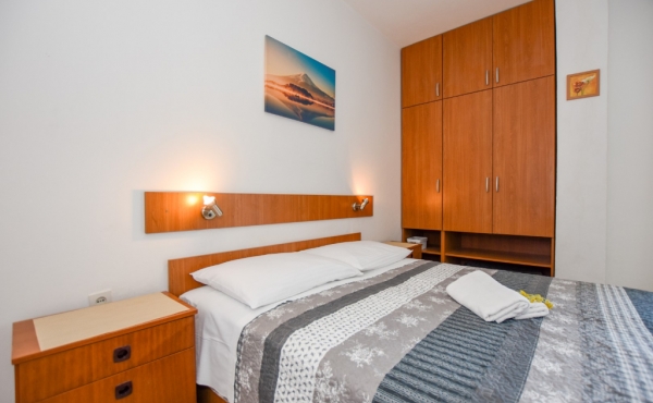 paro_vidolin_fotoby_tjstudio-1052