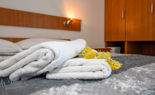 paro_vidolin_fotoby_tjstudio-1053