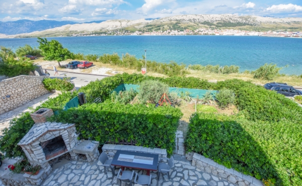 paro_vidolin_fotoby_tjstudio-1059