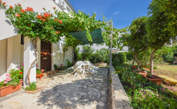 paro_vidolin_fotoby_tjstudio-1063