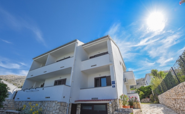 paro_vidolin_fotoby_tjstudio-1066