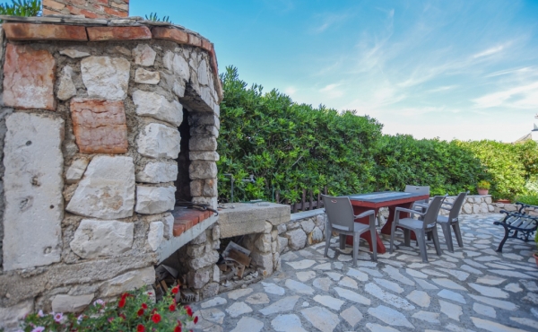 paro_vidolin_fotoby_tjstudio-1070