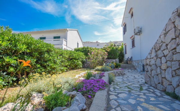 paro_vidolin_fotoby_tjstudio-1071