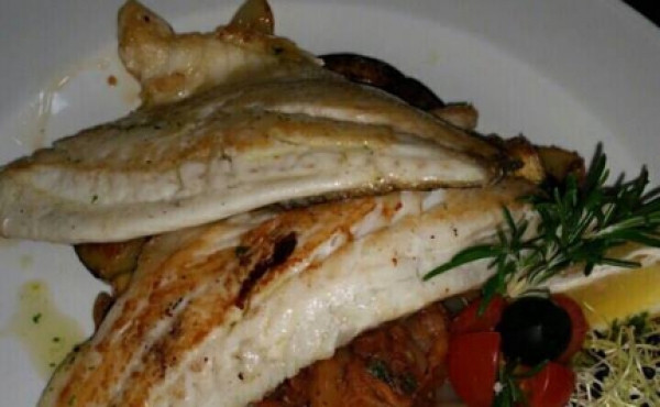 20428537_10213813545032936_1532307249_n